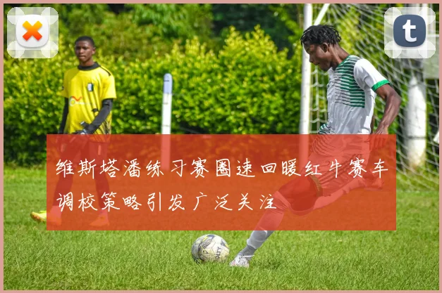 维斯塔潘练习赛圈速回暖红牛赛车调校策略引发广泛关注